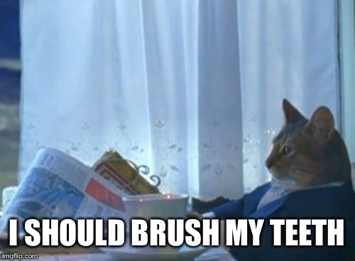 I Should Buy A Boat Cat Meme | I SHOULD BRUSH MY TEETH | image tagged in memes,i should buy a boat cat,AdviceAnimals | made w/ Imgflip meme maker