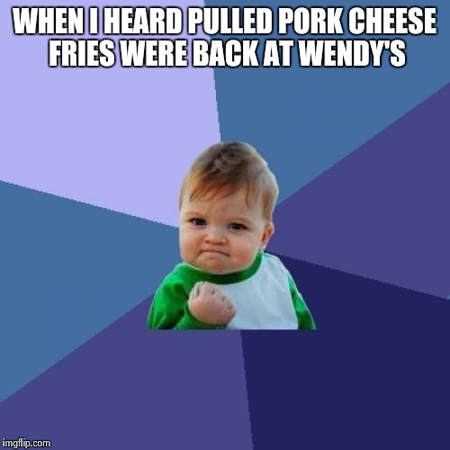 Success Kid | WHEN I HEARD PULLED PORK CHEESE FRIES WERE BACK AT WENDY'S | image tagged in memes,success kid | made w/ Imgflip meme maker
