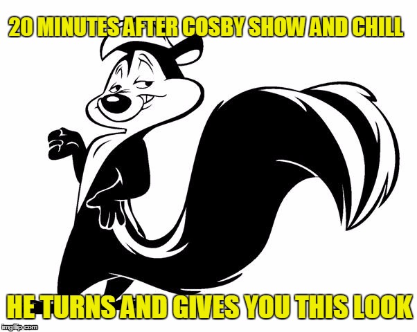 Pepe Le Pew | 20 MINUTES AFTER COSBY SHOW AND CHILL HE TURNS AND GIVES YOU THIS LOOK | image tagged in netflix and chill | made w/ Imgflip meme maker