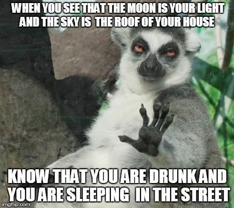 Stoner Lemur Meme | WHEN YOU SEE THAT THE MOON IS YOUR LIGHT AND THE SKY IS  THE ROOF OF YOUR HOUSE KNOW THAT YOU ARE DRUNK AND YOU ARE SLEEPING  IN THE STREET | image tagged in memes,stoner lemur,funny memes,funny,good guy greg,today was a good day | made w/ Imgflip meme maker