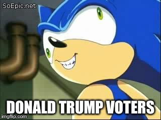 Derp sonic | DONALD TRUMP VOTERS | image tagged in derp sonic | made w/ Imgflip meme maker
