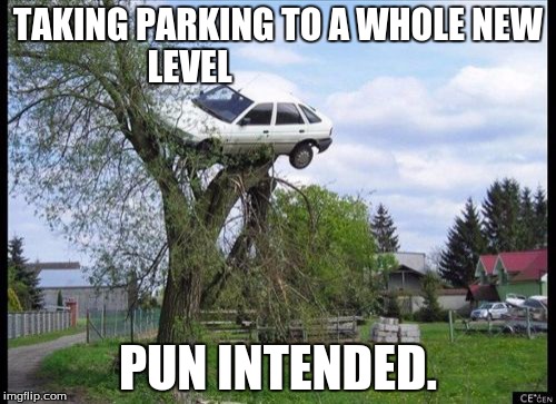 Secure Parking Meme | TAKING PARKING TO A WHOLE NEW LEVEL PUN INTENDED. | image tagged in memes,secure parking | made w/ Imgflip meme maker