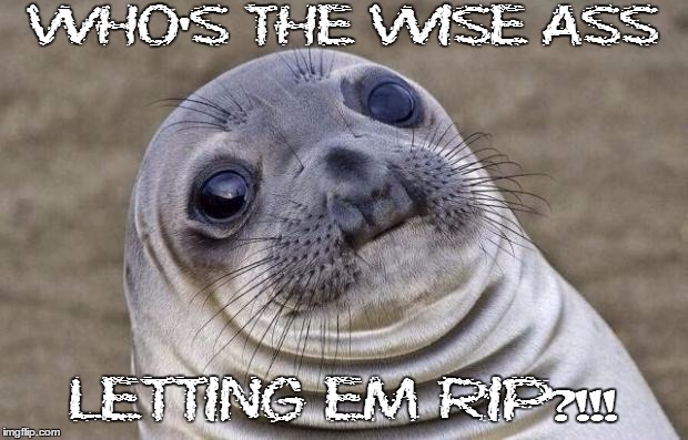 Awkward Moment Sealion | WHO'S THE WISE ASS LETTING EM RIP?!!! | image tagged in memes,awkward moment sealion | made w/ Imgflip meme maker