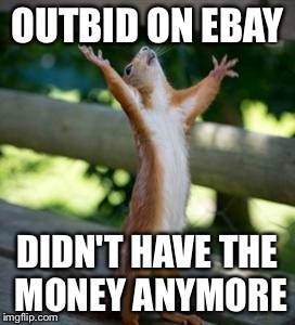 Thankful Squirrel | OUTBID ON EBAY DIDN'T HAVE THE MONEY ANYMORE | image tagged in thankful squirrel,AdviceAnimals | made w/ Imgflip meme maker