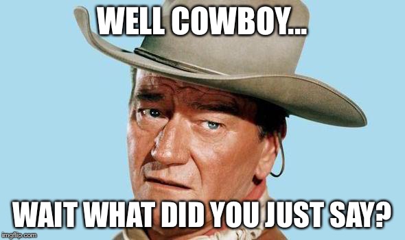 Almost gave you credit...almost. | WELL COWBOY... WAIT WHAT DID YOU JUST SAY? | image tagged in john wayne,you're weak,what | made w/ Imgflip meme maker