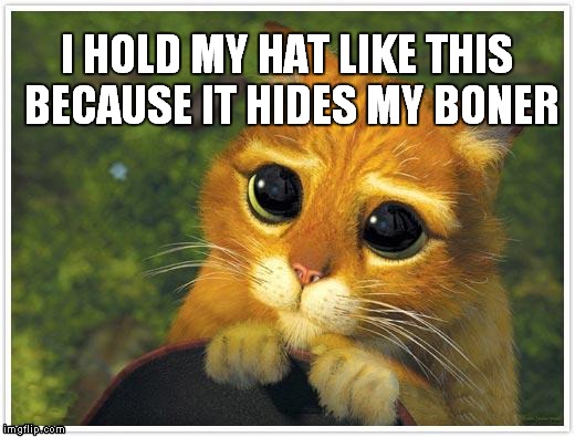 Shrek Cat is Hiding Something  | I HOLD MY HAT LIKE THIS BECAUSE IT HIDES MY BONER | image tagged in memes,shrek cat | made w/ Imgflip meme maker