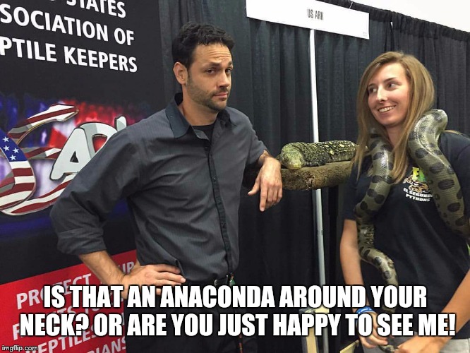 Beaded lizards | IS THAT AN ANACONDA AROUND YOUR NECK? OR ARE YOU JUST HAPPY TO SEE ME! | image tagged in confession bear | made w/ Imgflip meme maker