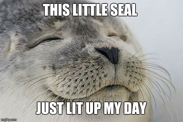 Satisfied Seal Meme | THIS LITTLE SEAL JUST LIT UP MY DAY | image tagged in memes,satisfied seal | made w/ Imgflip meme maker