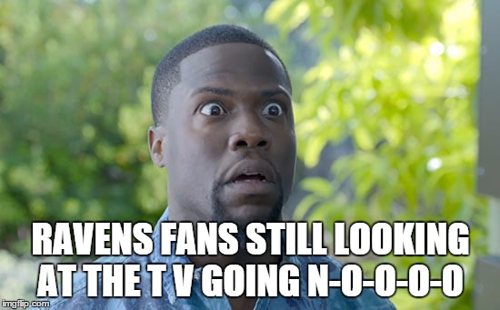 RAVENS FANS STILL LOOKING AT THE T V GOING N-O-O-O-O | image tagged in ravens fans | made w/ Imgflip meme maker