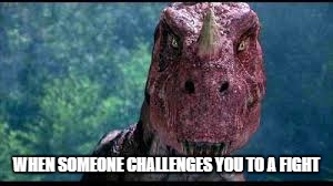 Ceratosaurus | WHEN SOMEONE CHALLENGES YOU TO A FIGHT | image tagged in ceratosaurus | made w/ Imgflip meme maker