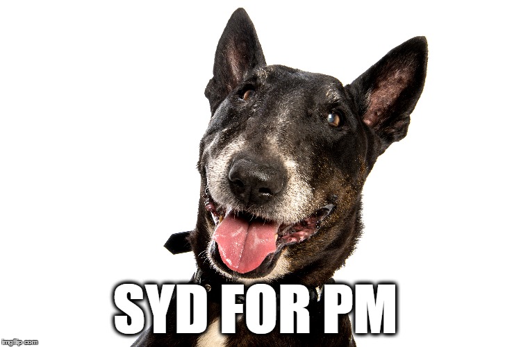 SYD FOR PM | image tagged in syd for pm | made w/ Imgflip meme maker