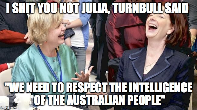 I shit you not Julia | I SHIT YOU NOT JULIA, TURNBULL SAID "WE NEED TO RESPECT THE INTELLIGENCE OF THE AUSTRALIAN PEOPLE" | image tagged in i shit you not julia | made w/ Imgflip meme maker