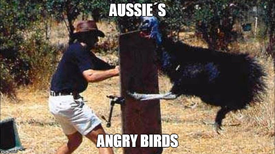 angry birds | AUSSIE´S ANGRY BIRDS | image tagged in angry birds | made w/ Imgflip meme maker