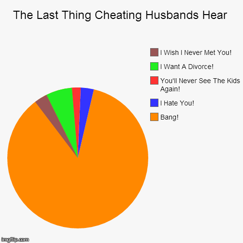 image tagged in funny,pie charts | made w/ Imgflip chart maker