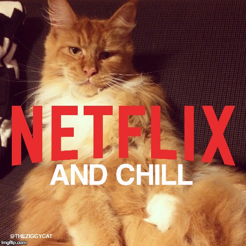 Netflix and Chill | image tagged in cats,grumpy cat,netflix,netflix and chill,lazy,attitude | made w/ Imgflip meme maker