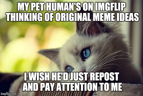 First World Problems Cat Meme | MY PET HUMAN'S ON IMGFLIP THINKING OF ORIGINAL MEME IDEAS I WISH HE'D JUST REPOST AND PAY ATTENTION TO ME | image tagged in memes,first world problems cat | made w/ Imgflip meme maker