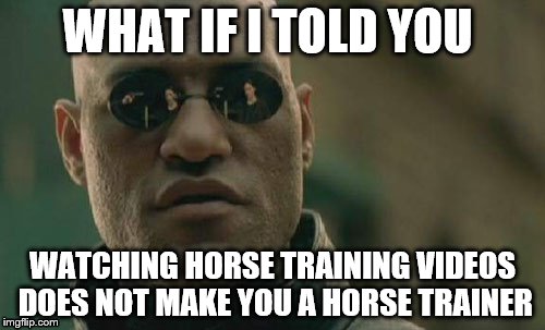 Matrix Morpheus | WHAT IF I TOLD YOU WATCHING HORSE TRAINING VIDEOS DOES NOT MAKE YOU A HORSE TRAINER | image tagged in memes,matrix morpheus,horses | made w/ Imgflip meme maker