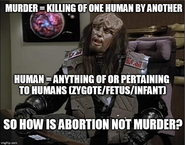 MURDER = KILLING OF ONE HUMAN BY ANOTHER HUMAN = ANYTHING OF OR PERTAINING TO HUMANS (ZYGOTE/FETUS/INFANT) SO HOW IS ABORTION NOT MURDER? | image tagged in funny klingon duras 1 | made w/ Imgflip meme maker