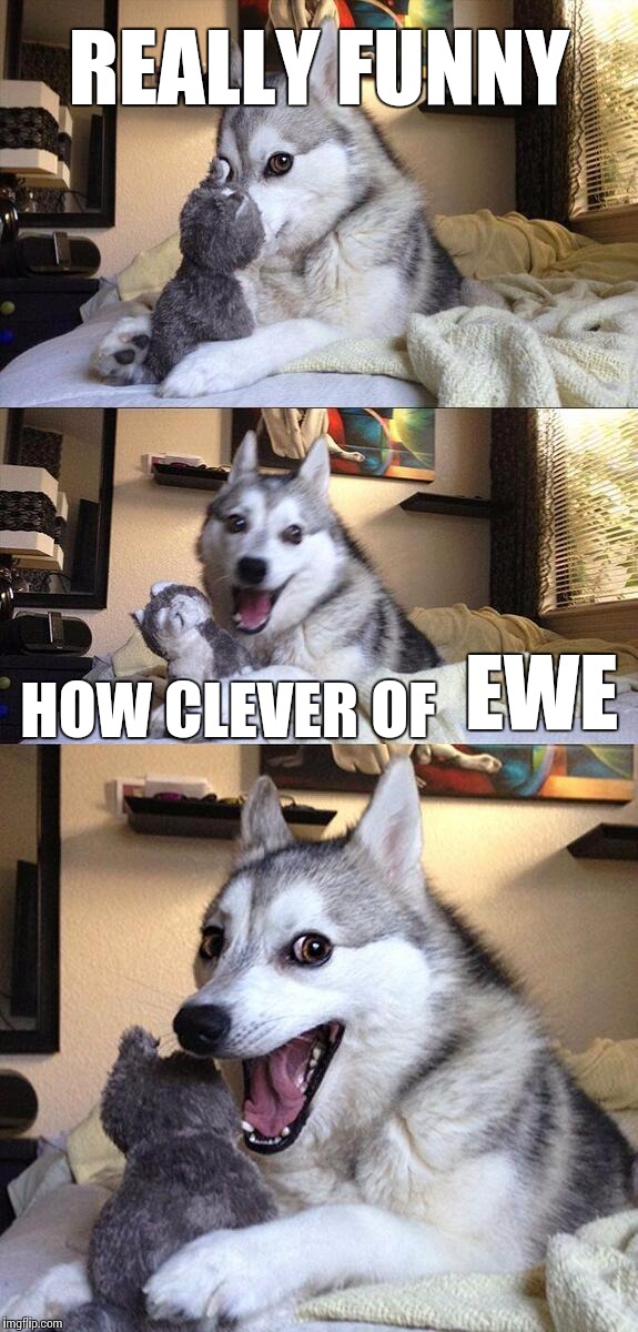 Bad Pun Dog Meme | REALLY FUNNY HOW CLEVER OF EWE | image tagged in memes,bad pun dog | made w/ Imgflip meme maker