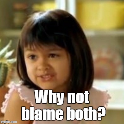 Why not blame both? | made w/ Imgflip meme maker