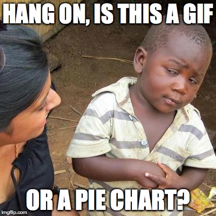 Third World Skeptical Kid Meme | HANG ON, IS THIS A GIF OR A PIE CHART? | image tagged in memes,third world skeptical kid | made w/ Imgflip meme maker