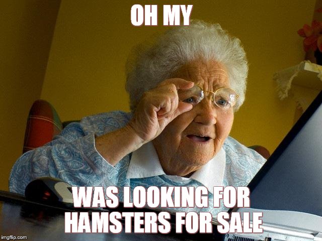 Grandma Finds The Internet | OH MY WAS LOOKING FOR HAMSTERS FOR SALE | image tagged in memes,grandma finds the internet | made w/ Imgflip meme maker