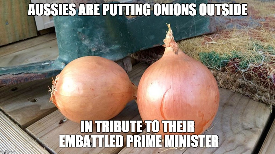 Aussies are putting onions outside | AUSSIES ARE PUTTING ONIONS OUTSIDE IN TRIBUTE TO THEIR EMBATTLED PRIME MINISTER | image tagged in aussies,onion | made w/ Imgflip meme maker