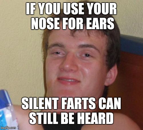 10 Guy Meme | IF YOU USE YOUR NOSE FOR EARS SILENT FARTS CAN STILL BE HEARD | image tagged in memes,10 guy | made w/ Imgflip meme maker