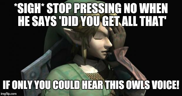 Link Facepalm | *SIGH* STOP PRESSING NO WHEN HE SAYS 'DID YOU GET ALL THAT' IF ONLY YOU COULD HEAR THIS OWLS VOICE! | image tagged in link facepalm | made w/ Imgflip meme maker