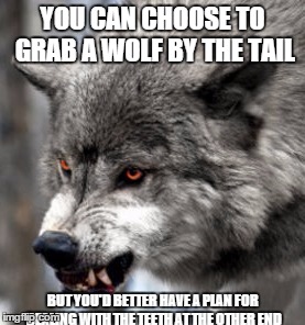 YOU CAN CHOOSE TO GRAB A WOLF BY THE TAIL BUT YOU'D BETTER HAVE A PLAN FOR DEALING WITH THE TEETH AT THE OTHER END | image tagged in dark humor | made w/ Imgflip meme maker