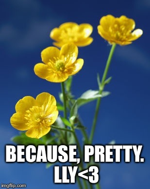 BECAUSE, PRETTY. LLY<3 | made w/ Imgflip meme maker