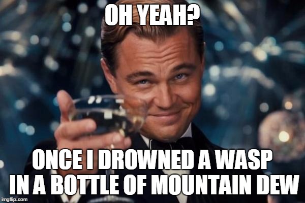 Leonardo Dicaprio Cheers Meme | OH YEAH? ONCE I DROWNED A WASP IN A BOTTLE OF MOUNTAIN DEW | image tagged in memes,leonardo dicaprio cheers | made w/ Imgflip meme maker