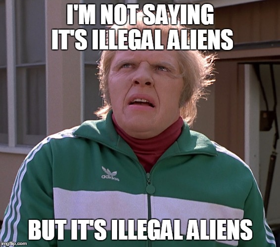 I'M NOT SAYING IT'S ILLEGAL ALIENS BUT IT'S ILLEGAL ALIENS | I'M NOT SAYING IT'S ILLEGAL ALIENS BUT IT'S ILLEGAL ALIENS | image tagged in trump,politics,aliens,ancient aliens,donald trump,illegal immigration | made w/ Imgflip meme maker