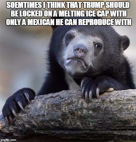 Confession Bear | SOEMTIMES I THINK THAT TRUMP SHOULD BE LOCKED ON A MELTING ICE CAP WITH ONLY A MEXICAN HE CAN REPRODUCE WITH | image tagged in memes,confession bear | made w/ Imgflip meme maker