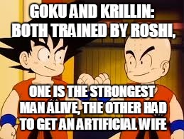 GOKU AND KRILLIN: BOTH TRAINED BY ROSHI, ONE IS THE STRONGEST MAN ALIVE, THE OTHER HAD TO GET AN ARTIFICIAL WIFE | made w/ Imgflip meme maker