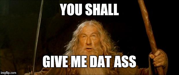 Saw one so fine I had to make a meme based on it | YOU SHALL GIVE ME DAT ASS | image tagged in gandalf you shall not pass,dat,ass | made w/ Imgflip meme maker