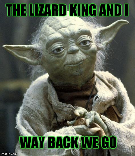 Jim Morrison was a Jedi | THE LIZARD KING AND I WAY BACK WE GO | image tagged in yoda,star wars | made w/ Imgflip meme maker