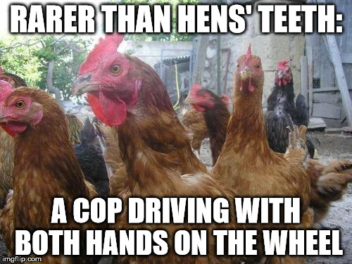 rarer | RARER THAN HENS' TEETH: A COP DRIVING WITH BOTH HANDS ON THE WHEEL | image tagged in chickens | made w/ Imgflip meme maker