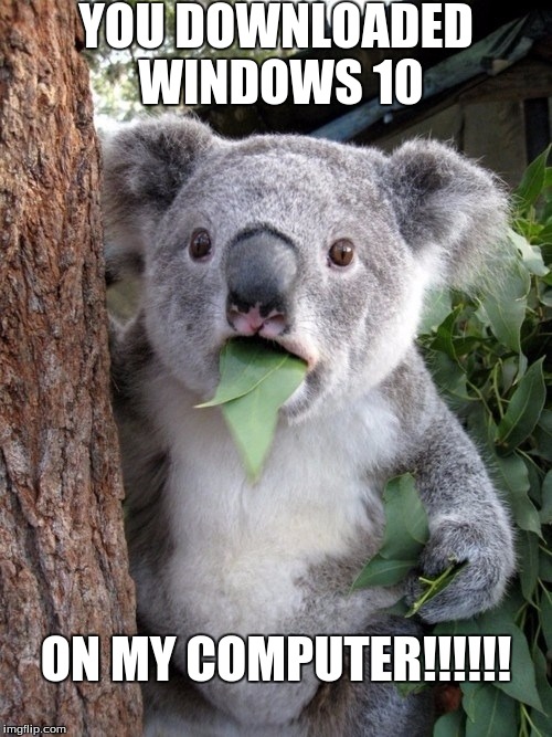 Surprised Koala | YOU DOWNLOADED WINDOWS 10 ON MY COMPUTER!!!!!! | image tagged in memes,surprised coala | made w/ Imgflip meme maker