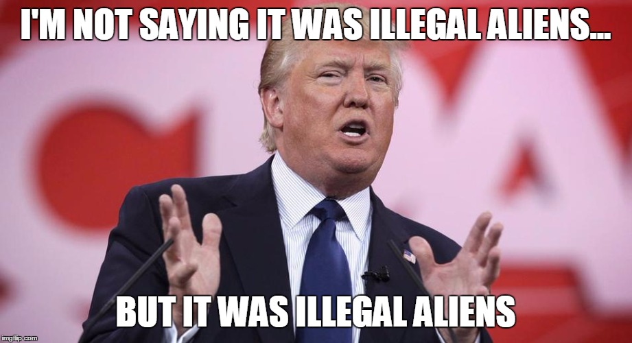 I'M NOT SAYING IT WAS ILLEGAL ALIENS... BUT IT WAS ILLEGAL ALIENS | I'M NOT SAYING IT WAS ILLEGAL ALIENS... BUT IT WAS ILLEGAL ALIENS | image tagged in trump,politics,aliens,ancient aliens,donald trump,illegal immigration | made w/ Imgflip meme maker