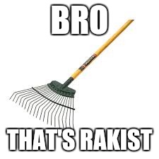 Rakist | BRO THAT'S RAKIST | image tagged in rakist | made w/ Imgflip meme maker