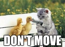 DON'T MOVE | image tagged in memes | made w/ Imgflip meme maker