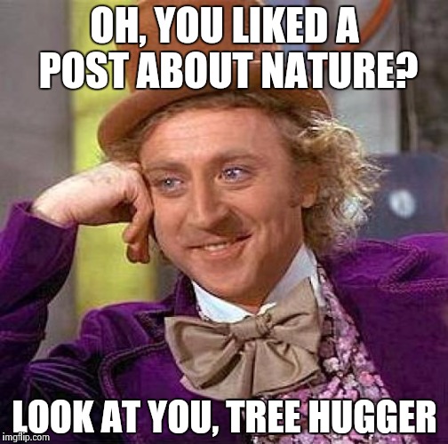 Creepy Condescending Wonka | OH, YOU LIKED A POST ABOUT NATURE? LOOK AT YOU, TREE HUGGER | image tagged in memes,creepy condescending wonka | made w/ Imgflip meme maker