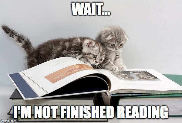 WAIT... I'M NOT FINISHED READING | image tagged in awesome | made w/ Imgflip meme maker