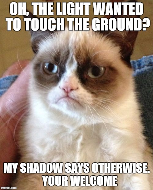 Shadows are my ally | OH, THE LIGHT WANTED TO TOUCH THE GROUND? MY SHADOW SAYS OTHERWISE.  
YOUR WELCOME | image tagged in memes,grumpy cat,shadow,science,sun | made w/ Imgflip meme maker