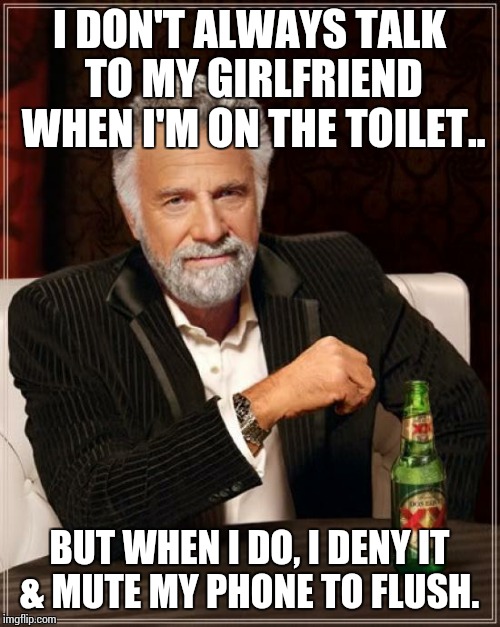 The Most Interesting Man In The World | I DON'T ALWAYS TALK TO MY GIRLFRIEND WHEN I'M ON THE TOILET.. BUT WHEN I DO, I DENY IT & MUTE MY PHONE TO FLUSH. | image tagged in memes,the most interesting man in the world | made w/ Imgflip meme maker
