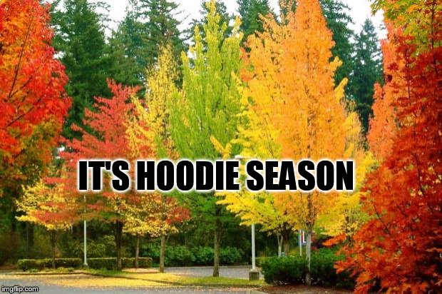 Fall Leaves | IT'S HOODIE SEASON | image tagged in fall leaves | made w/ Imgflip meme maker