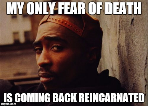 MY ONLY FEAR OF DEATH IS COMING BACK REINCARNATED | image tagged in memes | made w/ Imgflip meme maker