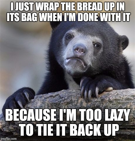 Confession Bear | I JUST WRAP THE BREAD UP IN ITS BAG WHEN I'M DONE WITH IT BECAUSE I'M TOO LAZY TO TIE IT BACK UP | image tagged in memes,confession bear | made w/ Imgflip meme maker