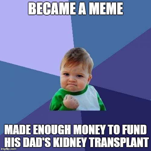 Success Kid Meme | BECAME A MEME MADE ENOUGH MONEY TO FUND HIS DAD'S KIDNEY TRANSPLANT | image tagged in memes,success kid | made w/ Imgflip meme maker